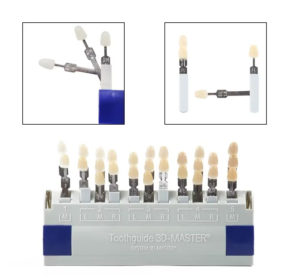 Teeth Whitening Shade Guide - Vita 3D Master – Guide d'ombre