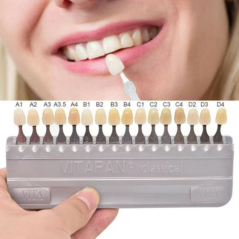 VITA 16 couleurs Guide d'ombre - Teeth Whitening Shade Guide avis et prix