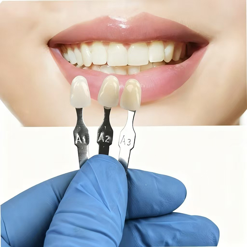 VITA 16 couleurs Guide d'ombre - Teeth Whitening Shade Guide avis et prix